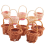 10Pcs Basket Mini Woven Baskets with Handles Plant Pots Containers 3