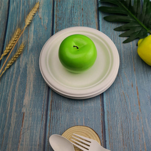 100% Compostable Disposable Paper Plates Bulk 9 Inch 50 Pack 2
