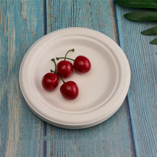 100% Compostable Disposable Paper Plates Bulk 9 Inch 50 Pack 1