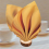 Napkin Ring Christmas Napkin Ring Holders Round Holder 6