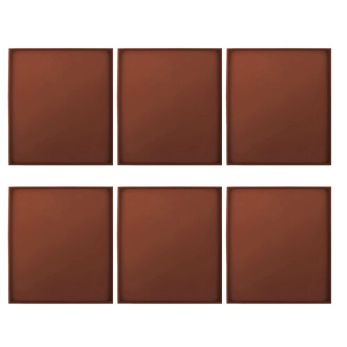 6 Pack Silicone Dehydrator Sheets for Meat Vegetables Food Dryer Mat 2