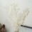45cm Dried Forever Preserved Ruscus Flowers DIY for Home Decor 3