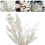 45cm Dried Forever Preserved Ruscus Flowers DIY for Home Decor 7