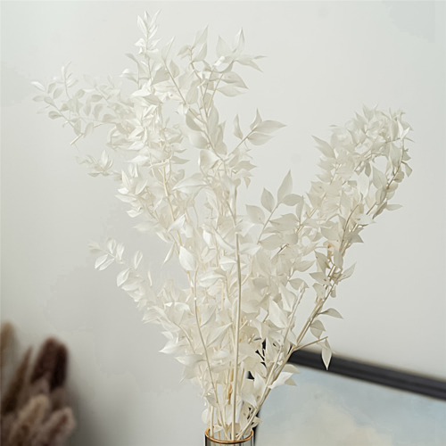45cm Dried Forever Preserved Ruscus Flowers DIY for Home Decor 2