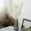 45cm Dried Forever Preserved Ruscus Flowers DIY for Home Decor 2