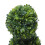 Artificial Plastic Trees In Pots Plant Potted Decor Pattern:Two Ball 4
