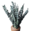 10Pack Natural Dried Eucalyptus Bundle,Preserved Fresh Eucalyptus 2