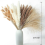 100 PCS Dried Pampas Grass Decor Bouquet for Wedding Party Boho Decor 6