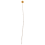 40Pcs Dried Craspedia Flowers Dried Button Balls Flowers 7