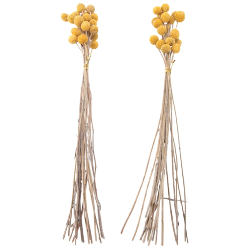 40Pcs Dried Craspedia Flowers Dried Button Balls Flowers 1