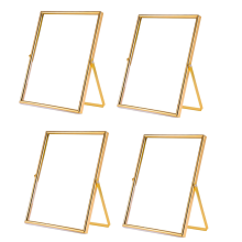 Gold Floating Picture Frame Set of 2, Gift Metal Glass Photo Frames