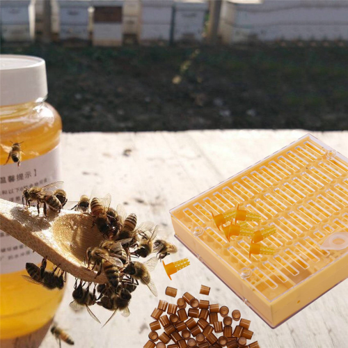 Beekeeping Cup Kit 120 Cell Cups Bee Tool Set Cage Apiculture Helper 2