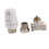 3X 3/4Inch Brass Thermostatic Radiator Valve Straight Type DN20 6