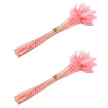 60Pcs Fall Dried Flowers Bunny Flowers for Dried Floral(Pink)