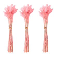 60Pcs Fall Dried Flowers Bunny Flowers for Dried Floral(Pink)