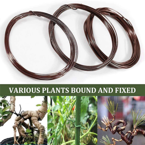 Bonsai Wire Kit- 9 Roll Anodized Aluminum Tree Training Wires - Brown 2