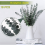 16Pcs-Preserved-Dried-Eucalyptus-Branches for Vase Filler 2