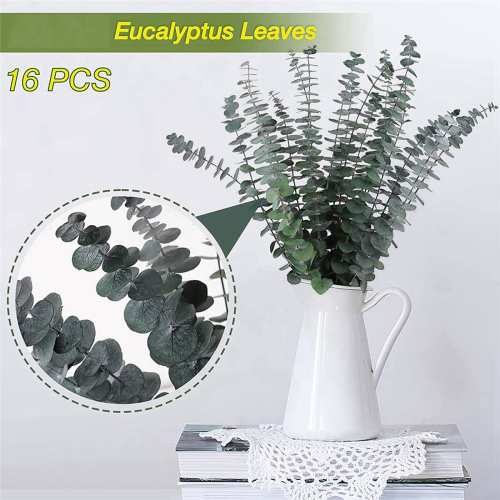 16Pcs-Preserved-Dried-Eucalyptus-Branches for Vase Filler 1