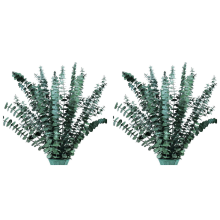 16Pcs-Preserved-Dried-Eucalyptus-Branches for Vase Filler