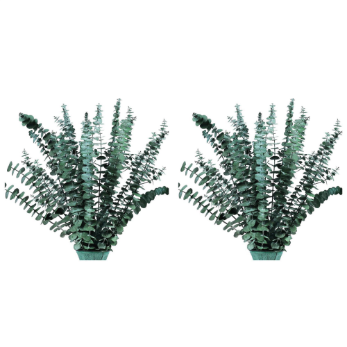 16Pcs-Preserved-Dried-Eucalyptus-Branches for Vase Filler