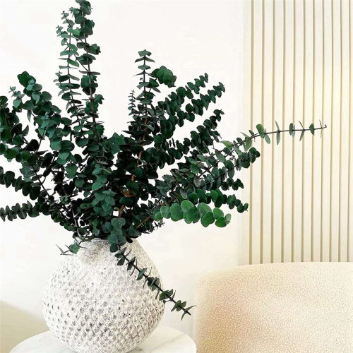 16Pcs-Preserved-Dried-Eucalyptus-Branches for Vase Filler 2
