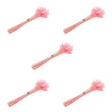 60Pcs Fall Dried Flowers Bunny Flowers for Dried Floral(Pink)