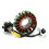 Stator Coil for 800 951 GTX GSX RX XP 95-03 7