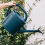 Watering Can for Indoor Plants with Detachable Sprinkler Head 2