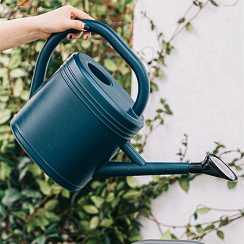 Watering Can for Indoor Plants with Detachable Sprinkler Head 1