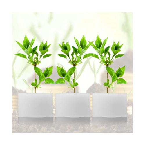 100Pcs/Set Planted Sponge Vegetable Cultivation System 32X30mm 1