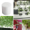100Pcs/Set Hydroponic Gardening Plant Tools Planted Sponge 44X30mm 4