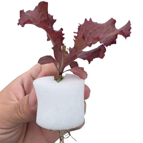 100Pcs/Set Hydroponic Gardening Plant Tools Planted Sponge 44X30mm 2