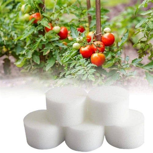 50 Pcs Hydroponic Sponge Overground, Soilless Gardening Tool 50Mm 2