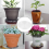 10Pcs 8Inch Clear Plant Saucer Plastic Drip Trays for Plants 3