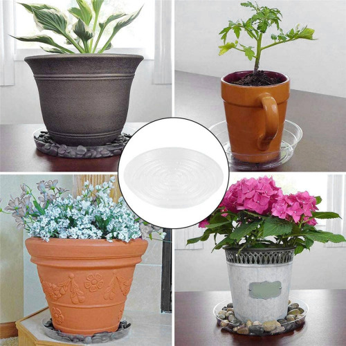 10Pcs 8Inch Clear Plant Saucer Plastic Drip Trays for Plants 2