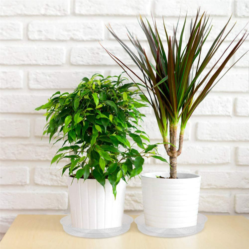 10Pcs 8Inch Clear Plant Saucer Plastic Drip Trays for Plants 1