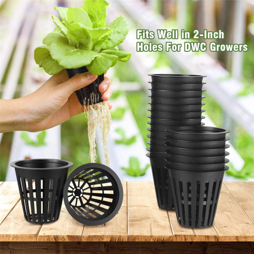 60 Pack 2 Inch Slotted Mesh Wide Lip Plant Net Basket for Hydroponics 2