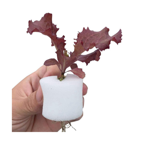 100Pcs/Set Hydroponic Gardening Plant Tools Planted Sponge 44X30mm 2