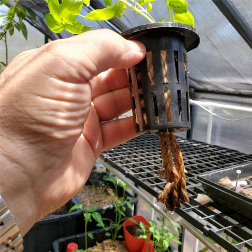 100 Pack 2.36 Inch Cups Slotted Mesh Wide Lip Filter Plant Net Pot 2