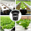 100 Pack 2.36 Inch Cups Slotted Mesh Wide Lip Filter Plant Net Pot 5