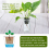 100 Pack Net Cups Slotted Mesh Wide Lip Filter Plant Net Pot Bucket 4