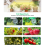 Grow Light Strips, for Indoor Plants with Auto On/Off 3/9/12H Timer 5