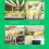 Grow Light Strips, for Indoor Plants with Auto On/Off 3/9/12H Timer 6