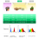 Grow Light Strips, for Indoor Plants with Auto On/Off 3/9/12H Timer 4