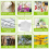50PCS Aluminum Plant Labels Tree Double-Sided Tags 3