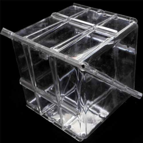 Big Size Plastic Clear Heart Square Watermelon Fruit Growth Mould 2
