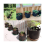 Fabric Pots Container, 5 Pack 3 Gallon Plant Grow Bags 6