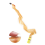 Sticky Fly Roll Sticky Flyboard Fly Stick Fly Stick Mosquito Paper 4
