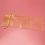 Packaging Organza Wine Bag, Transparent Mesh Gift Bag (Gold,30Pcs) 3