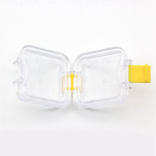 10Pcs Plastic Denture Tooth Box 2